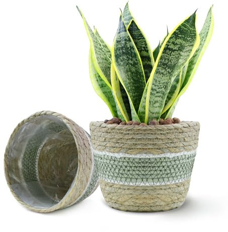 HLWDXno1 2Pcs Blumentopf Seegras Geflochten Pflanzenkorb mit Liner 22 cm Handgewebter Pflanzen Pflanzkübel übertopf Korb Natürlicher Pflanzkorb Aufbewahrungskorb