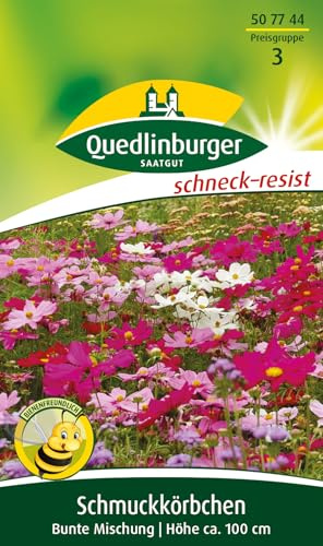 Quedlinburger 507744 Schmuckkörbchen bunte Mischung (Blumensamen)