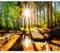 murando Fotomurales autoadhesivo Bosque 392x280 cm Papel Pintado Decoración de Pared Murales Pegatina decorativos adhesivos 3d moderna de Diseno Fotográfico Paisaje Naturaleza c-B-0267-a-a