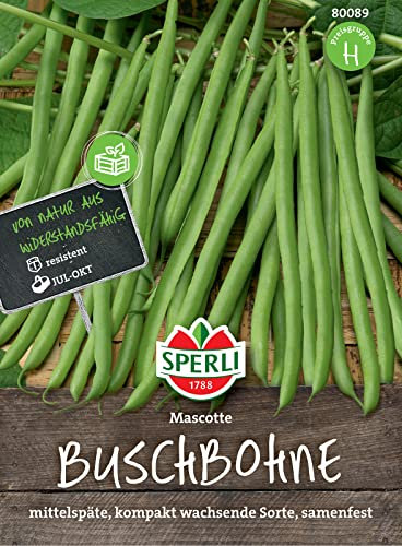 Sperli Buschbohnensamen Mascotte 80089 – Resistente Sorte - fadenlos - kompakt - ca. 15 cm - Samen Gemüse, Saatgut, Gemüse Pflanzen