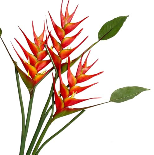 Héliconia Lot de 3 fleurs artificielles en forme d'oiseau de paradis, 63,5 cm de hauteur, rouge/orange, pour décoration de maison/bureau (orange)