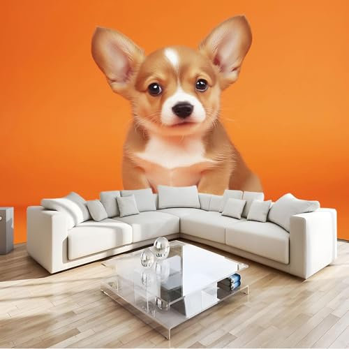 Art Papel Tapiz Fotográfico Corgi Animal Naranja Papel Pintado no Tejido 300x210 cm Lana Decoración De Pared Sala Cuarto Póster Mural para Sala de estar Dormitorio Infantil Decoración