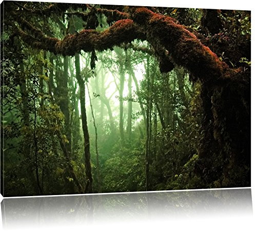 Pixxprint Regenwald Moos Bäume Lianen See Tümpel, Größe: 120x80cm, Leinwandbild, fertig gespannt, Wandbild, Dekoration, Kunstdruck, kein Poster