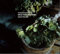 MUSIC FOR SAUNA WHISK