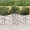 ShCuShan Gabionen mit Hochbogen 4 STK. 200x50x80/100 cm Verzinktes Eisen Zaun Gabionen WasserzapfsäUle Garten Pflanzsteine Beton Garten Stapelbar Gabionenzaun Gabionen
