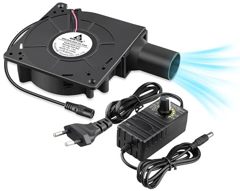 Ventola radiale da 12 V con uscita dell'aria: ventola radiale senza spazzole 230 V con controller per barbecue, raffreddamento, ventilazione, stufa, gonfiabile