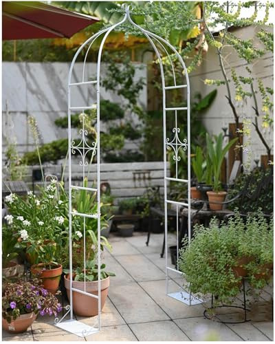Gartenbogen Aus Metall 80cm B X 205cm H,Rosenbogen Torbogen Rankhilfe Rankgitter, Rankbogen Für Kletterpflanzen,Rosenspalier(White)