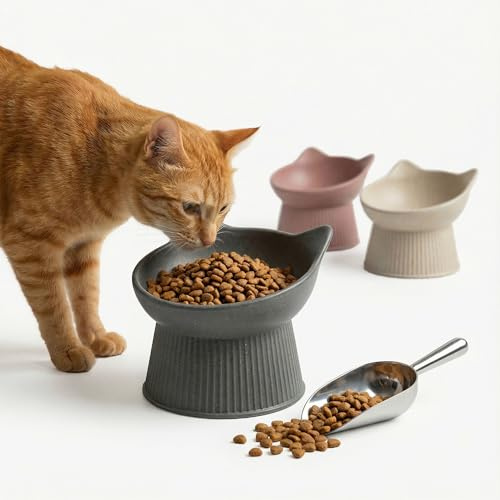 PiuPet® Katzennapf Erhöht - Ergonomischer Futternapf Katze | Schonender Futternapf aus Bambus & Kunststoff, 15 Grad Neigung, 150 ml, Schnurrhaarfreundlich, Rutschfest, Spülmaschinenfest