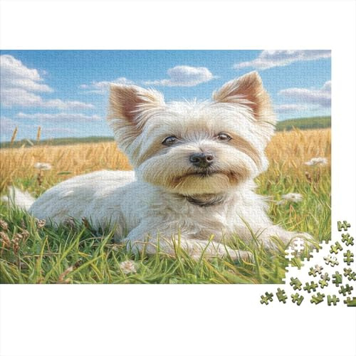 Haustier-Hundespiel, 1000-teilig, für Frauen und Männer Weißer Welpe im Gras Lustiges und herausforderndes Familienspiel, Geschenkidee, 38x26 cm/1000 Stück