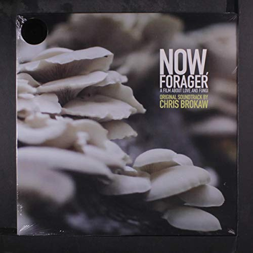 NOW FORAGER (ORIGINAL SOUNDTRACK)