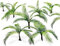 Green Stuff World Papierpflanzen – Palmen 10373