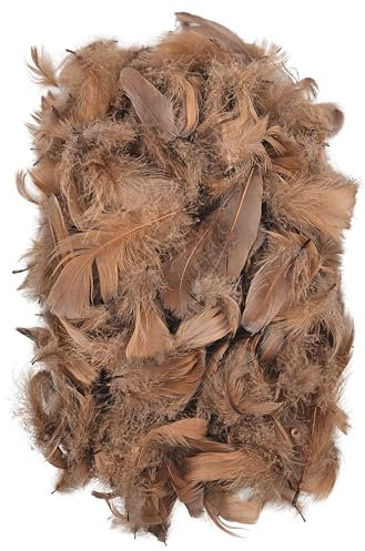 Netuno 150 Stück Deko Federn Hellbraun 10g Flaumfedern Schmuckfedern Vogelfedern Bastelfedern Natur für DIY Basteln Dekoration Ostern Weihnachten Dekofigur