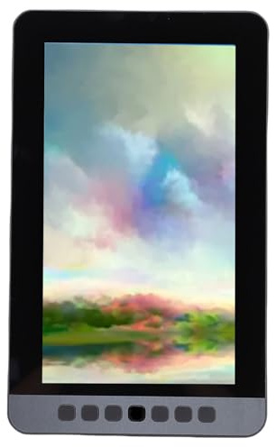 Fdit Tableta de Arte Digital de 11,6 Pulgadas con 6 Teclas de Acceso Rápido, Bolígrafo sin Batería, Aplicaciones Versátiles, Tableta de Dibujo para Tomar Notas