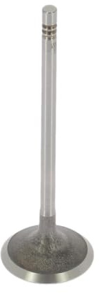 AE V95035 Einlaßventil