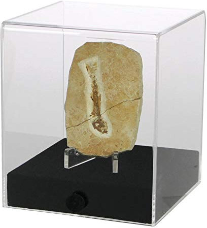 Safe 5288 Präsentations-Cube – Acryl-Vitrine mit schwarzem Velours-Holzsockel, staubgeschützt, für Sammlerstücke & Modellautos 120 x 120 x 140 mm