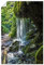 ARTLAND Wanddeko Poster & Kunstdrucke Wandposter 60x90 cm Hochformat Wald Wasserfall Fluss Urwald Natur Landschaft Frühling U2DC