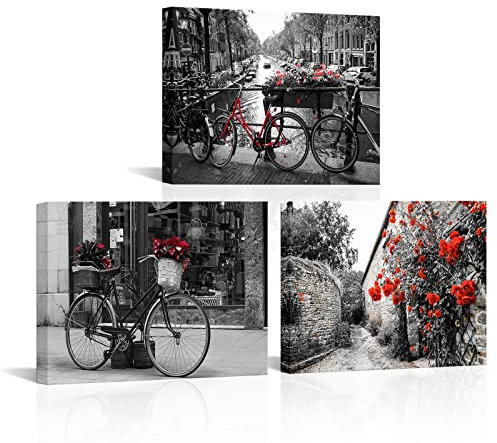 RnnJoile 3-teiliger schwarzer und roter Stadt-Wandkunstdruck von Fahrrad Rose und Gebäude über dem Kanal in Amsterdam gerahmtes Stadtbild für Heimbüro, Wanddekoration 30,5 x 40,6 cm
