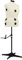vidaXL Schneiderpuppe Verstellbar Weiblich Schneiderbüste Schaufensterpuppe Torso Mannequin Damenbüste Schaufensterfigur Creme L Größe 44-50