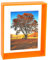 Mutellstory Acryl-Bilderrahmen, 12,7 x 17,8 cm, Neonfarben, schwebender Fotorahmen für Wandhalterung und Tischplatte, dekorativ, in Galerie, Heimbüro, Neonorange