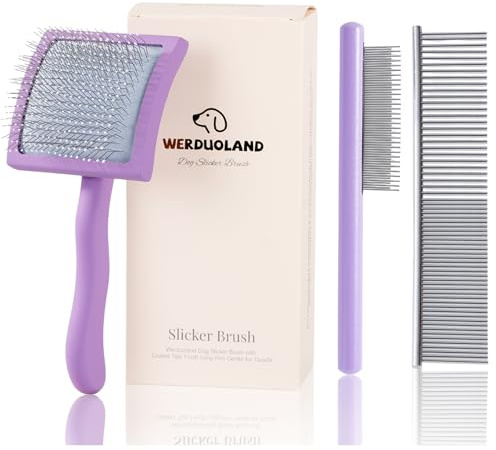 Werduoland Gently Grooming Slicker Brush with Coated Tips for Long-Haired Dogs-Ergonomic Wooden Handle, Long Pins for Grooming Goldendoodles Poodles Purple