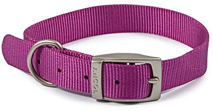 Ancol Viva Adjustable Dog Collar with Satin Buckle - Purple - Lightweight Weatherproof Poly Weave Puppy Neckband - Medium