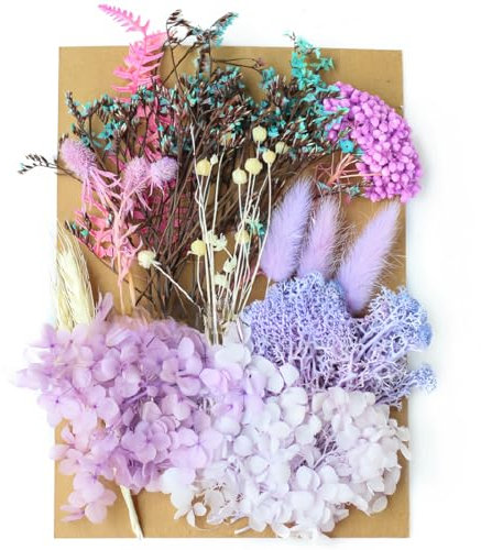 WUMZIRA Fiori Secchi per Resina Fiori Secchi per Candele Fiori Secchi Fiori Pressati Secchi Naturali Fiori Essiccati Decorativi per Fai da Te Scrapbooking Candele Decorazione