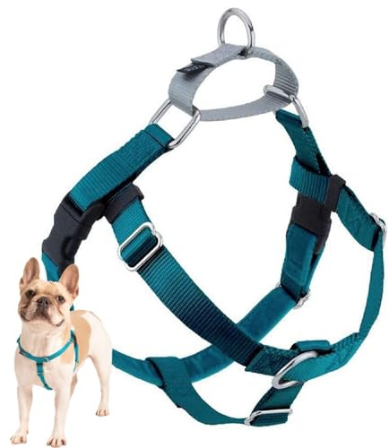 2 Hounds Design Freedom No Pull Dog Harness, Adjustable Harness, Easy Walking & Comfortable Control, Fits Small, Medium & Large Dogs, Solid Colors, Made in USA, 1 MD, Teal