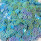 Cat Paw Glitter Confetti Nails Case Making Accessories Stickers DIY Decorations Sequins Slim Fillings-Aquamarine-20g 7mm