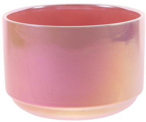 INOOMP Kaktustopf Sukkulententopf Aus Keramik Pflanzen Bonsai Pflanze Blumentopf Aus Rosa Drinnen Bonsaischale