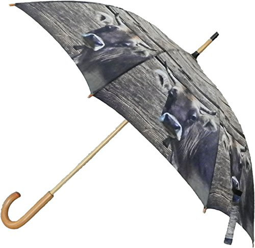 Unbekannt Regenschirm Holz schweize Kuh 105cm
