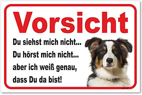AdriLeo Schild - Vorsicht Australian Shepherd Tri-Color - Du siehst Mich Nicht - (20x30cm) / Aussie Achtung Hund Wachhund robust langlebig UV-beständig wetterfestes Warnschild