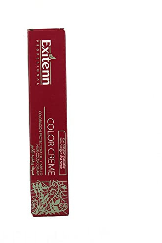 Exitenn color cream 60 ml, color silver