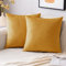 EMEMA Samt Kissenbezug Herbst Kissenhülle Dekorative Dekokissen Sofakissen Lendenkissen Wurfkissenbezug mit Verstecktem Reißverschluss Schlafzimmer Sofa 2er Set 45x45 cm Orangegelb