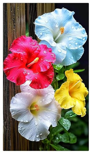 Hibiskus Rhizome,Hibiskus,Winterhart MehrjäHrig,Hibiscus Pflanzen,Vier-Jahreszeiten-Pflanzen,Hibiskus Pflanzen,Winterhart,Magische Blume-1Rhizome-G