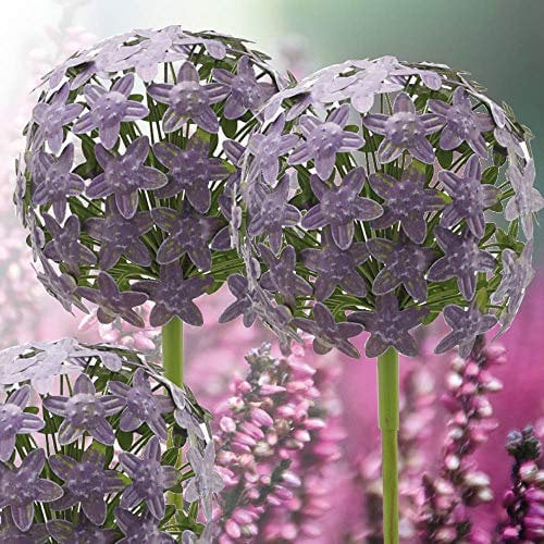 Gartenstecker - Allium - H110cm / D15cm - Purple - Gartendeko