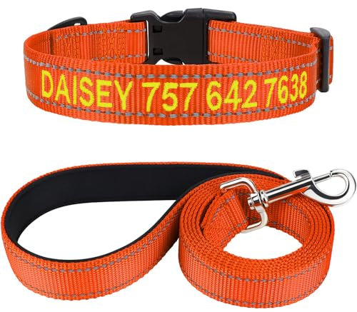 TagME Hundehalsband und Leine, Personalisierbar Reflektierendes Hundehalsband Mit 1.5M Doppelseitige Reflektierende Hundeleine für Kleine, Orange