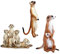 Colcolo 3X Tier Afrika Stehend Meerkat Tierfiguren Wohnkultur Kinder Spielzeug