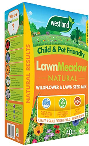 westland horticulture limited Lawn Meadow 40m2 Box, Green