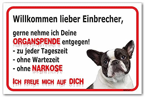 AdriLeo Schild - Vorsicht schwarz-weiße Französische Bulldogge - Willkommen lieber Einbrecher - (15x20cm) / Achtung Hund Wachhund robust langlebig UV-beständig wetterfestes Warnschild