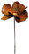 itsisa ® Gartenstecker Mohn mit Gold im Rost Design, Rostfigur für den Garten, Gartendeko, Metalldeko
