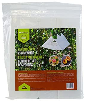 Biogrowi Piège Delta - Carpocapse des Prunes, Piège à Phéromones Contre Le Carpocapse des Prunes. Piège Carpocapse. Pheromone Prunier. Application Naturelle et Biologique. avec 2 Phéromones.