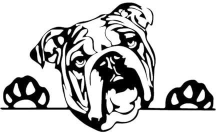 16,2 X 9,7 Cm Olde English Bulldog Bully Dog Aufkleber Vinyl Autoaufkleber Lustiges Muster(Black)