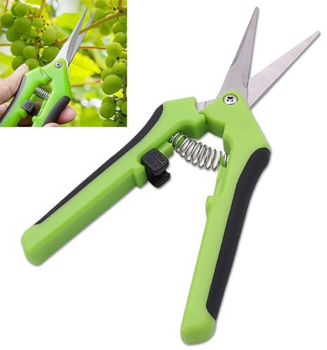 YPYMOD Gerade Kopf Kleine Gartenschere, Ergonomischer Griff, Baumschere, Gartenschere für Bonsai Pflanzen Blumen Ernte Obst und Gemüse (165mm, Grün)