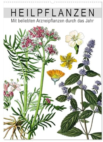 Heilpflanzen (Wandkalender 2026 DIN A2 hoch), CALVENDO Monatskalender: Mit beliebten Arzneipflanzen durch das Jahr (CALVENDO Gesundheit)
