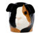 Quail Ceramics Cochon d’Inde visage coquetier