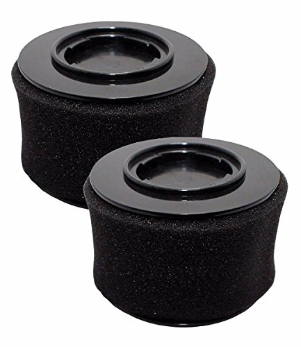 2 Pack Replacement Bissell 54A2 Filters For Bissell PowerEdge Hard Floor Stick Vacuum 81L2 81L22 81L28 81L2T Bissell PowerEdge Pet Hardfloor Vacuum 81L2A Bissell Hard Floor Expert Stick Vac 81L2W