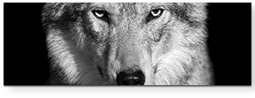 Leinwandbilder | Bilder Leinwand 150x50cm Portrait – Wolf schwarz, weiß