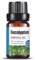 Naturreine Ätherische Öle - 100% Bio Qualität | Entdecken Sie die Vielfalt der Naturdüfte | Für Aromatherapie, Aromadiffuser, Massage und Badezusatz | für Körper und Geist | 10ml - Eukalyptus