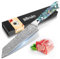 Home Safety Damastmesser Kiritsuke Kochmesser mit extrem Scharf 19 cm Klinge aus 67 Lagen VG-10 Damaststahl Küchenmesser Damast Fleischmesser, Abalone-Muschel Griff, Geschenkbox