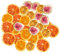 HEALSOPTHY Tranches De Fruits Secs pour Décoration De Gâteaux Slices Orange Citron Et Figue Séchés pour Noël Bricolage De Couronnes Et Décorations De Table